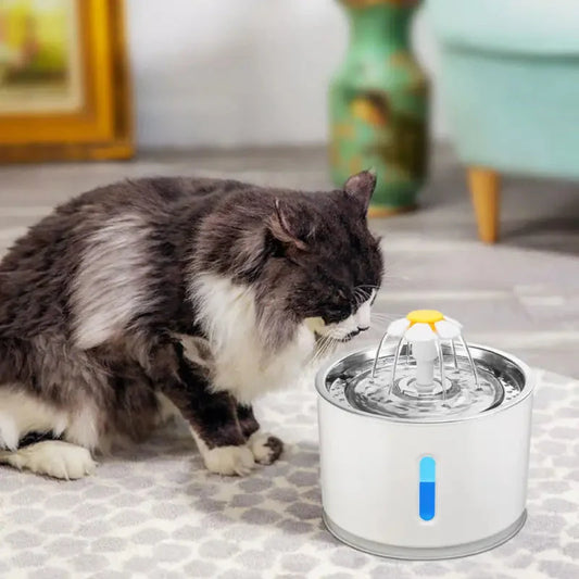 Chat s’abreuvant à la fontaine d’eau inoxydable pour chats en acier inoxydable fontaine