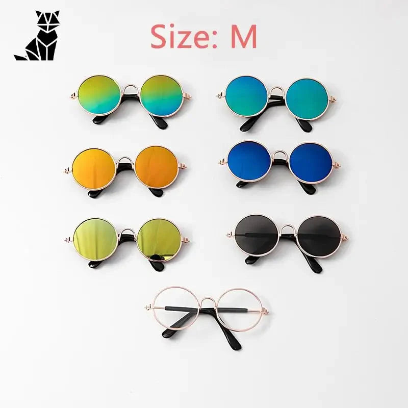 Lunettes de soleil pour chiens : Set d’accessoires SFP avec six lunettes de soleil de couleurs différentes